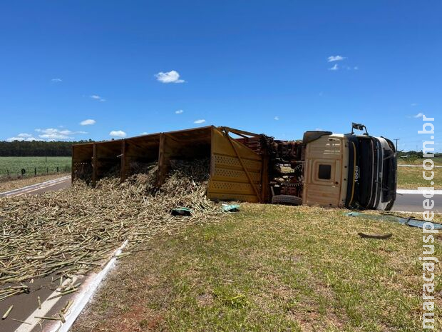 Carreta carregada com cana-de-açúcar tomba em rotatória da MS-473